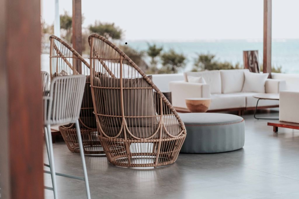 From Forest to Furniture How Plants Shape the Way We Live img4